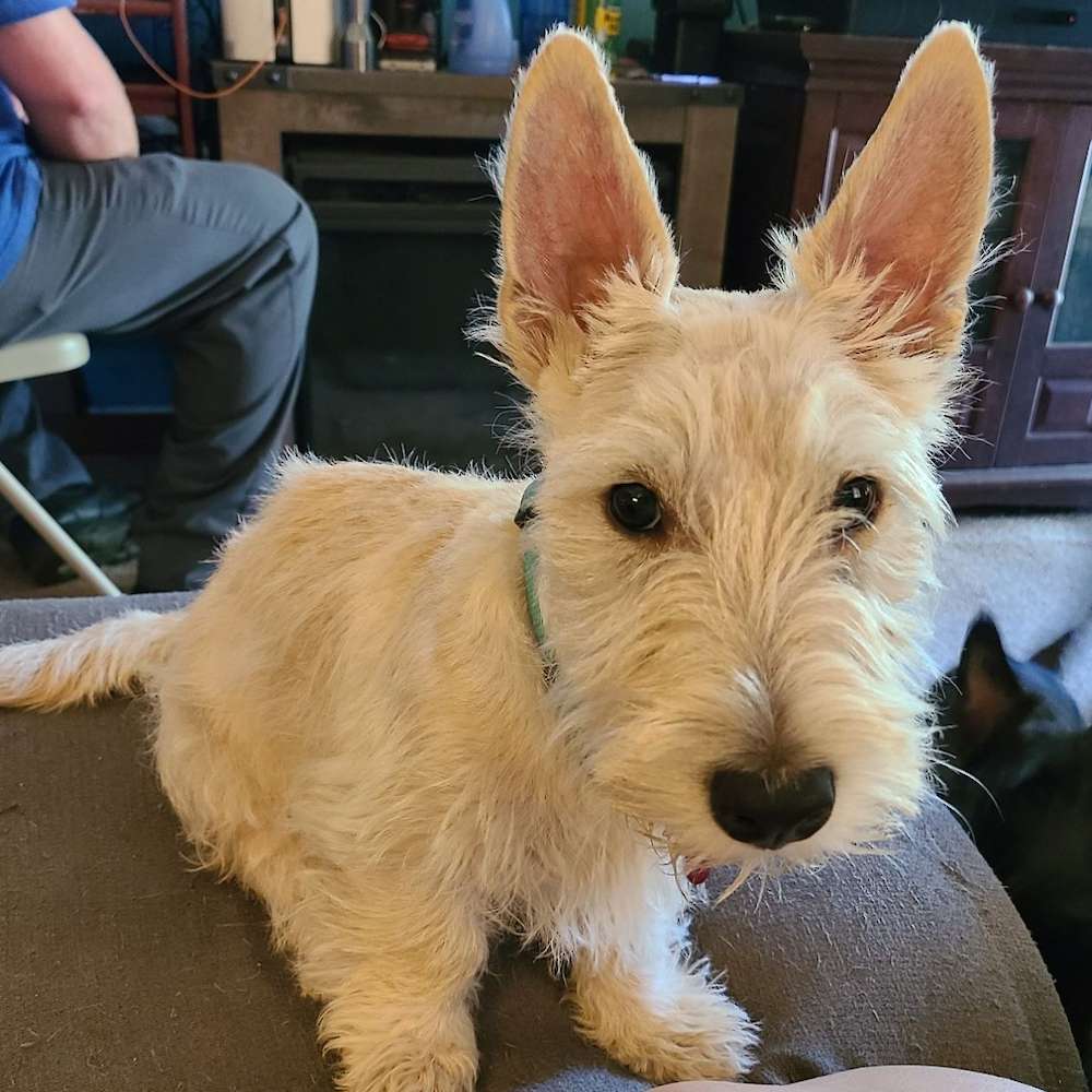 Our new addition